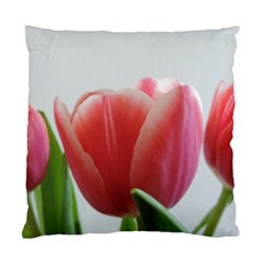 Red Tulips Standard Cushion Case (one Side) by picsaspassion