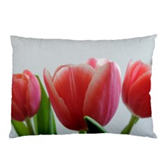 Red Tulips Pillow Case by picsaspassion