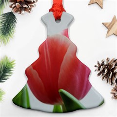 Red Tulips Christmas Tree Ornament (2 Sides)