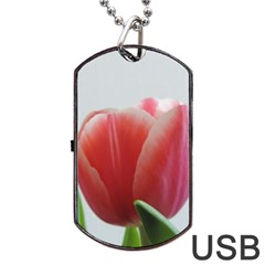 Red Tulips Dog Tag Usb Flash (two Sides)  by picsaspassion