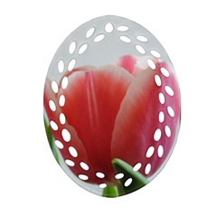 Red Tulips Oval Filigree Ornament (2-side)  by picsaspassion