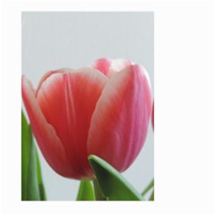 Red Tulips Large Garden Flag (two Sides) by picsaspassion