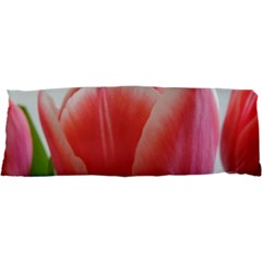 Red Tulips Samsung Galaxy Nexus S I9020 Hardshell Case by picsaspassion