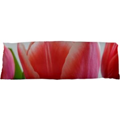 Red Tulips Samsung Galaxy S I9008 Hardshell Case by picsaspassion