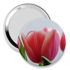 Red Tulips 3  Handbag Mirrors by picsaspassion