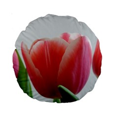 Red Tulips Standard 15  Premium Round Cushions by picsaspassion