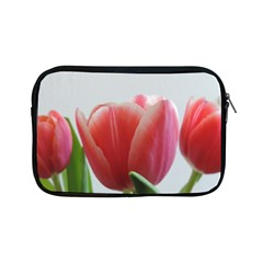 Red Tulips Apple Ipad Mini Zipper Cases by picsaspassion