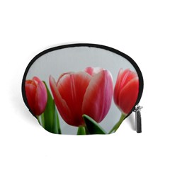 Red Tulips Accessory Pouches (small)  by picsaspassion