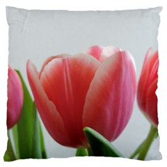 Red Tulips Large Flano Cushion Case (one Side) by picsaspassion