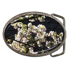 Blooming Japanese Cherry Flowers Belt Buckles by picsaspassion