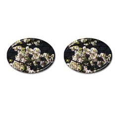 Blooming Japanese Cherry Flowers Cufflinks (oval) by picsaspassion