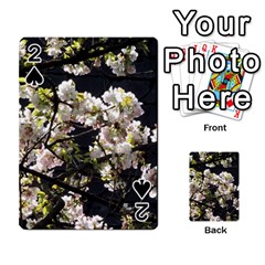 Blooming Japanese Cherry Flowers Playing Cards 54 Designs 