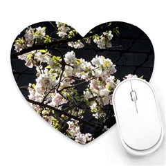 Blooming Japanese Cherry Flowers Heart Mousepads by picsaspassion