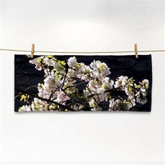 Blooming Japanese Cherry Flowers Hand Towel by picsaspassion