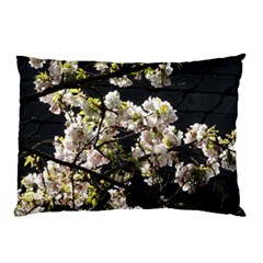 Blooming Japanese Cherry Flowers Pillow Case by picsaspassion