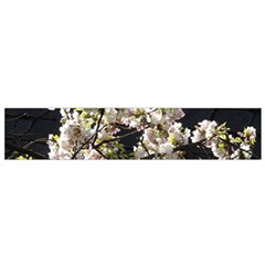 Blooming Japanese Cherry Flowers Flano Scarf (small) by picsaspassion