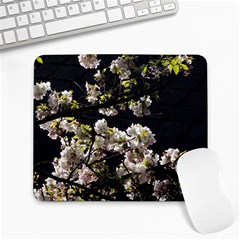 Japanese Cherry Flower Large Mousepads by picsaspassion