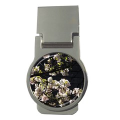 Japanese Cherry Flower Money Clips (round)  by picsaspassion