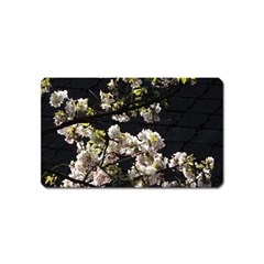 Japanese Cherry Flower Magnet (name Card) by picsaspassion