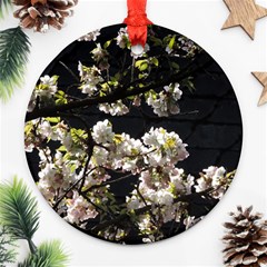 Japanese Cherry Flower Round Ornament (two Sides)  by picsaspassion