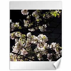 Japanese Cherry Flower Canvas 36  X 48   by picsaspassion