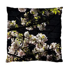 Japanese Cherry Flower Standard Cushion Case (one Side) by picsaspassion