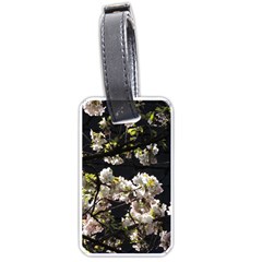 Japanese Cherry Flower Luggage Tags (one Side)  by picsaspassion