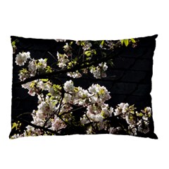 Japanese Cherry Flower Pillow Case (two Sides) by picsaspassion