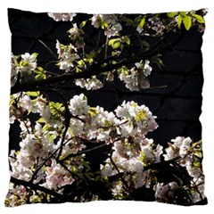 Japanese Cherry Flower Large Cushion Case (one Side) by picsaspassion