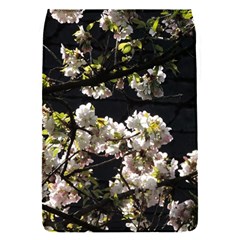 Japanese Cherry Flower Flap Covers (s)  by picsaspassion