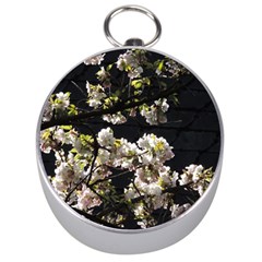 Japanese Cherry Flower Silver Compasses by picsaspassion