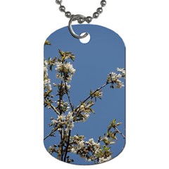 White Cherry Flowers And Blue Sky Dog Tag (one Side) by picsaspassion