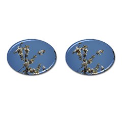 White Cherry Flowers And Blue Sky Cufflinks (oval) by picsaspassion