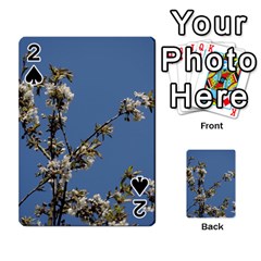 White Cherry Flowers And Blue Sky Playing Cards 54 Designs  by picsaspassion