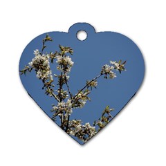 White Cherry Flowers And Blue Sky Dog Tag Heart (two Sides)