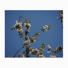 White Cherry Flowers And Blue Sky Small Glasses Cloth (2-side) by picsaspassion