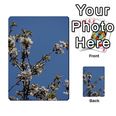 White Cherry Flowers And Blue Sky Multi-purpose Cards (rectangle) 