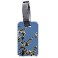 White Cherry Flowers And Blue Sky Luggage Tags (two Sides) by picsaspassion