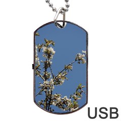 White Cherry Flowers And Blue Sky Dog Tag Usb Flash (one Side)