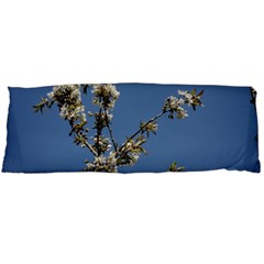 White Cherry Flowers And Blue Sky Body Pillow Case (dakimakura) by picsaspassion