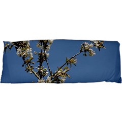 White Cherry Flowers And Blue Sky Samsung Galaxy Sl I9003 Hardshell Case by picsaspassion