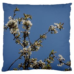 White Cherry Flowers And Blue Sky Large Cushion Case (two Sides)