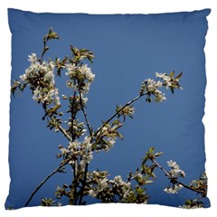 White Cherry Flowers And Blue Sky Large Flano Cushion Case (two Sides) by picsaspassion