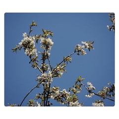 White Cherry Flowers And Blue Sky Double Sided Flano Blanket (small) 