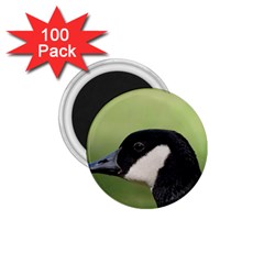 Goose Bird In Nature 1 75  Magnets (100 Pack)  by picsaspassion