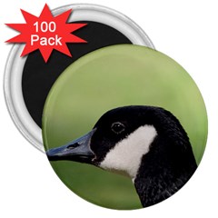 Goose Bird In Nature 3  Magnets (100 Pack)