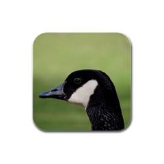 Goose Bird In Nature Rubber Square Coaster (4 Pack) 