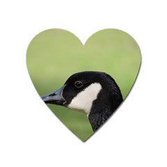 Goose Bird In Nature Heart Magnet