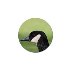 Goose Bird In Nature Golf Ball Marker (4 Pack) by picsaspassion