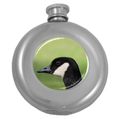 Goose Bird In Nature Round Hip Flask (5 Oz) by picsaspassion